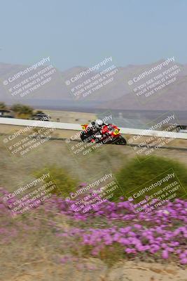 media/Feb-04-2023-SoCal Trackdays (Sat) [[8a776bf2c3]]/Turn 15 Inside Blooming (1050am)/